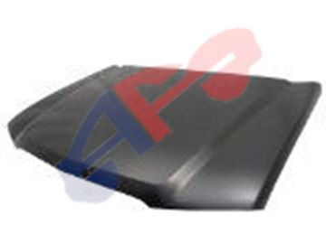 Picture of HOOD 02-06 W/CLADDING AVALANCHE