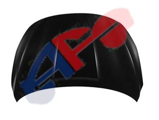 Picture of HOOD 16-19 SENTRA